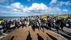 Voor de laatste keer: 500 Friese paarden op het strand van Julianadorp en Den Helder