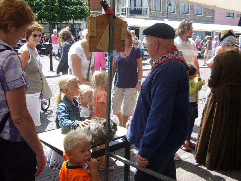 Schapen scheren op de Markt in Schagen