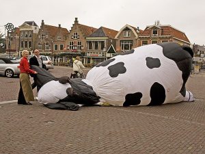 Valse start voor Winterpaasvee
