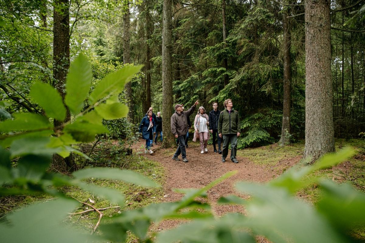 Zomerexcursies in het Robbenoordbos: Ontdek de natuur op een unieke manier