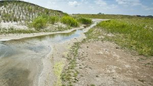 Vragen VVD over aankoop gronden voor natuur