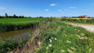 Vier natuurprojecten in Noordkop ontvangen geld uit speciaal fonds