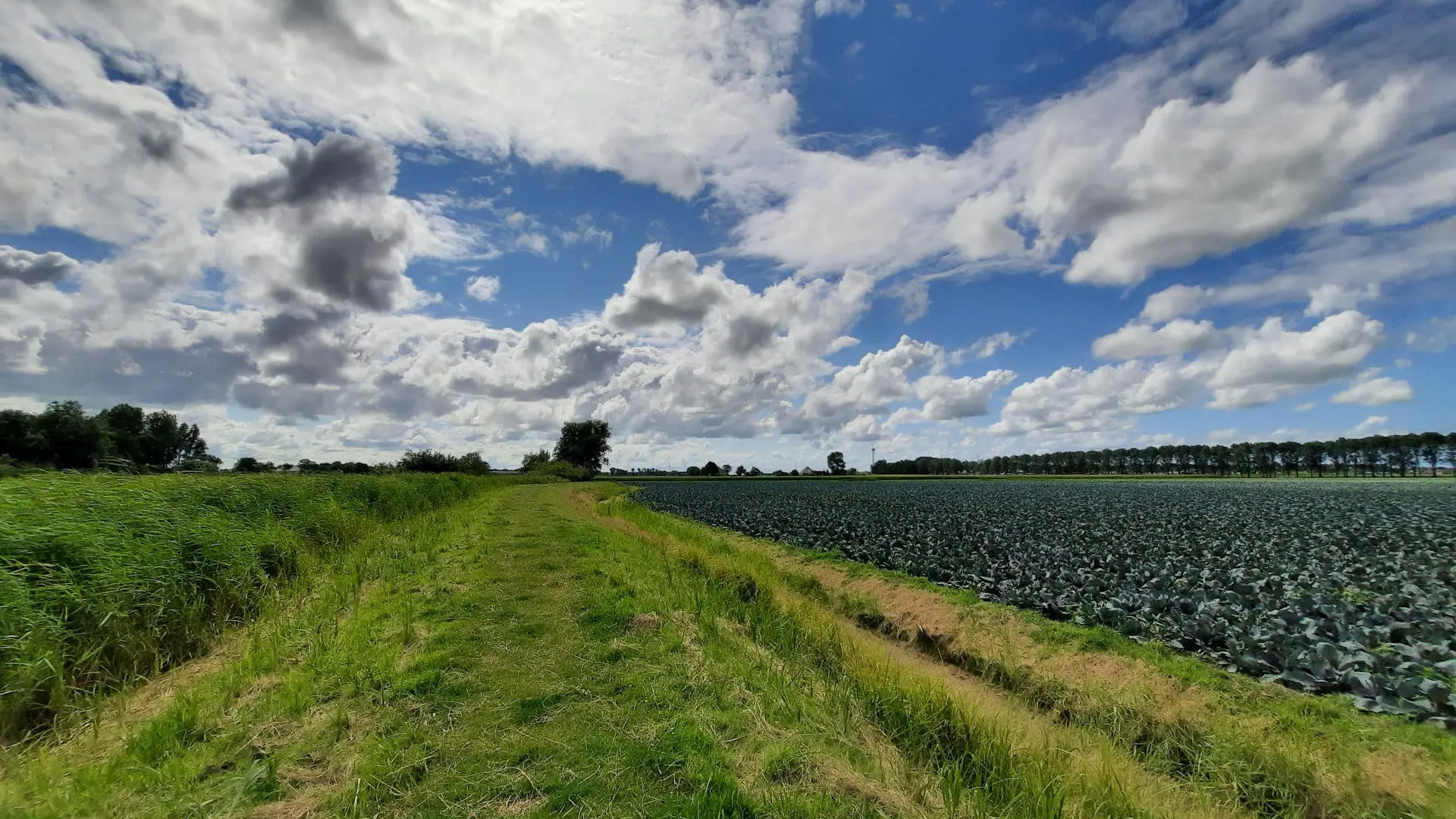 Gemeente Schagen vuilste lucht in Noordkop