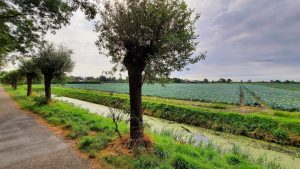 Kopgemeenten werken samen aan toekomstbestendig landelijk gebied