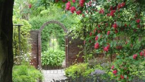 Open weekend vol bloei