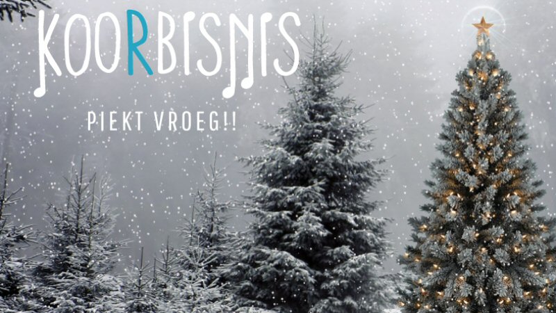 Onderweg naar Kerst met KoorBisNis