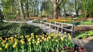 Gedichten gezocht voor poëzieroute in de Poldertuin in Anna Paulowna