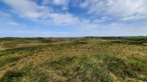 Ecologische Autoriteit: stikstofbelasting binnen en buiten duinen Den Helder-Callantsoog te hoog
