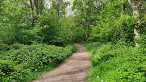 Mailverkeer laat zien: Ecologisch onderzoek Donkere Duinen wel degelijk aangepast