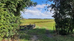 Aan de wandel in de Noordkop: van Den Burg naar De Waal