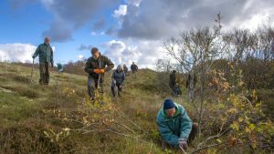 Help de zandhagedis in het Zwanenwater