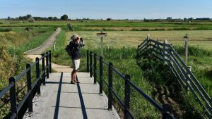 Ontdek Struingebied Kruiszwin