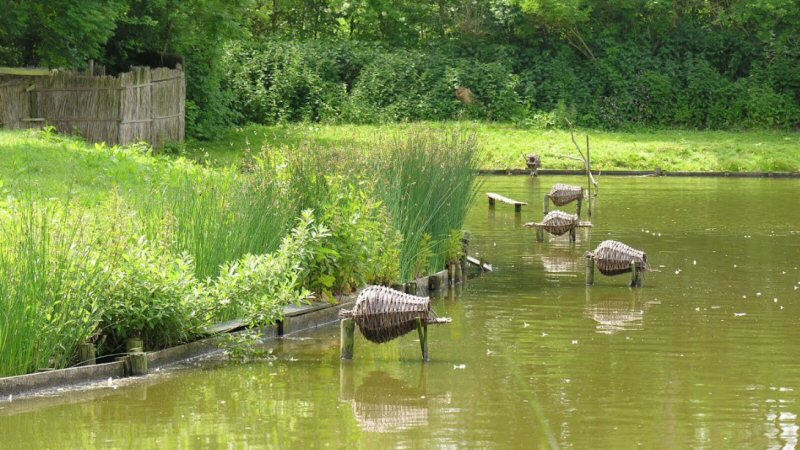 Beleef de lente in Eendenkooi ‘t Zand
