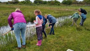 Waterbeestjes in het Zwanenwater