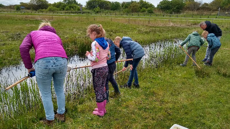Waterbeestjes in het Zwanenwater