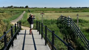 Struin mee door wandelgebied Kruiszwin
