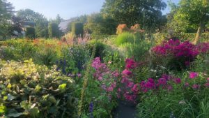 Een tuin vol leven