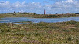 Zwerf door de Grafelijkheidsduinen