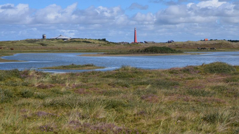 Zwerf door de Grafelijkheidsduinen
