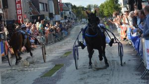 Harddraverij Schagen
