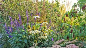 September, nazomer in de tuin