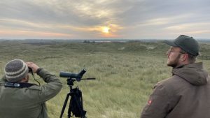 Overwinterende vogels in het Zwanenwater
