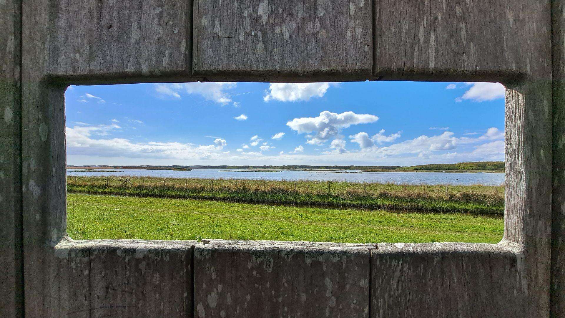 Aan de wandel in de Noordkop: Koegrasroute