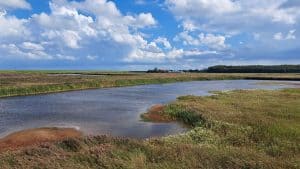 Aan de wandel in de Noordkop: Robbenoordbos, Dijkgatsweideroute