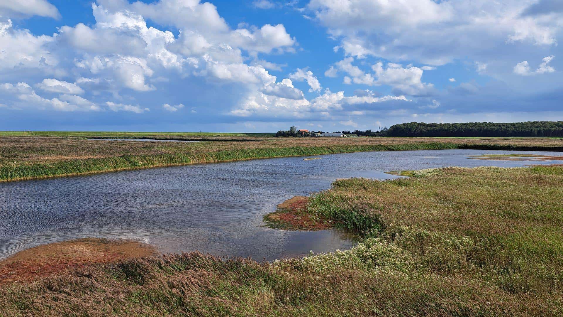 Aan de wandel in de Noordkop: Robbenoordbos, Dijkgatsweideroute