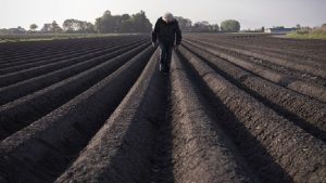 Film Gerlach in De Luxe