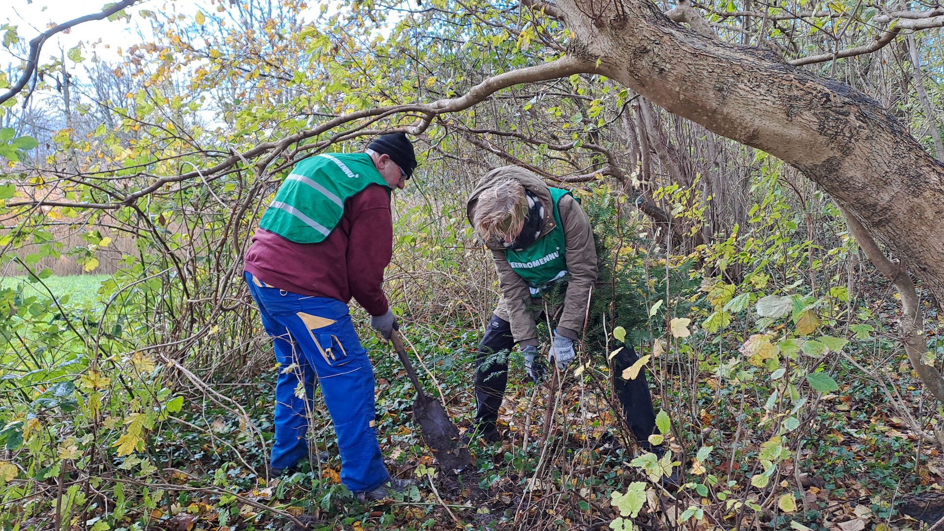 Oogstdag bij Meer Bomen Nu