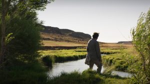 Film About Dry Grasses in De Luxe