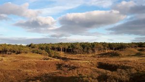 Wandel mee door de duinen bij Huisduinen