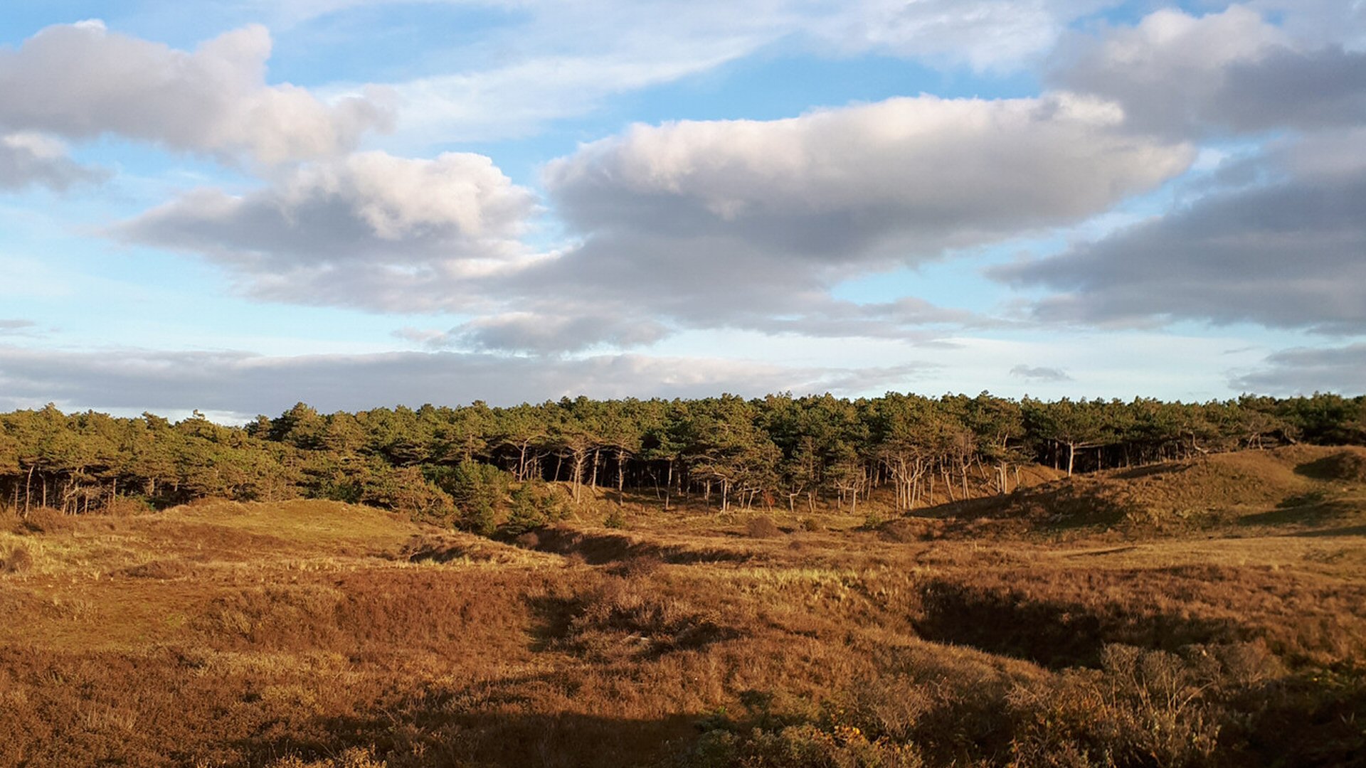 Wandel mee door de duinen bij Huisduinen
