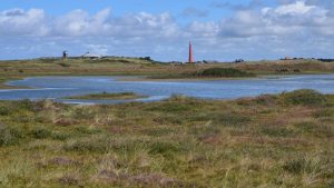 Wandeling voor natuurfotografen