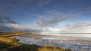 Zwerfvuil opruimen van het Wad bij Balgzand