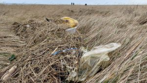 Help het Wad bij Wieringen opschonen