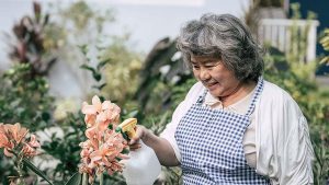 Alzheimer Café Schagen
