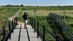 Wandel mee door de oude Wadgeul Kruiszwin