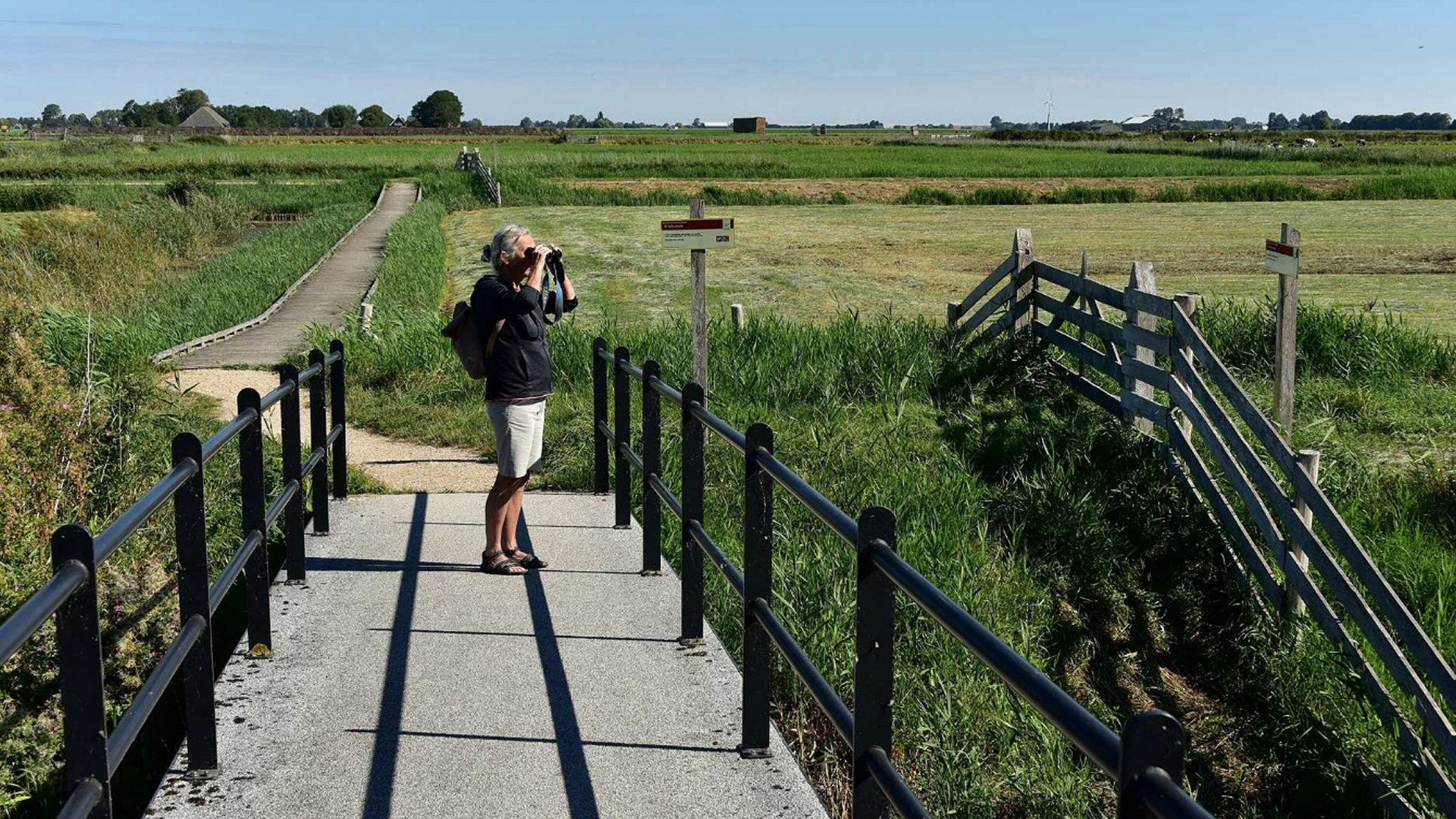 Wandel mee door de oude Wadgeul Kruiszwin