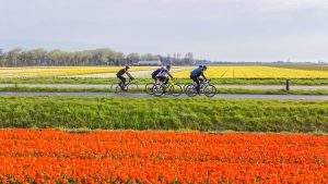 Fiets mee met de lenteklassieker
