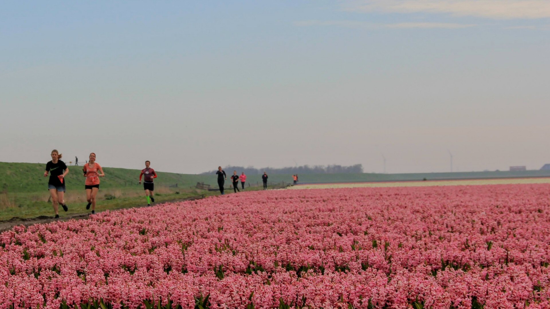 Unieke en gezellige Tulpen Trailrun