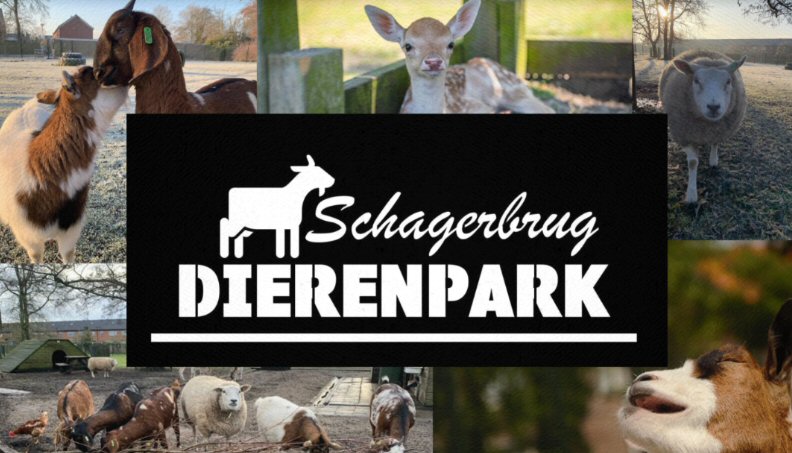 Collecte dierenpark in herfstvakantie