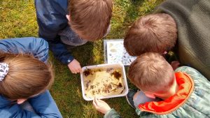 Speuren naar waterbeestjes