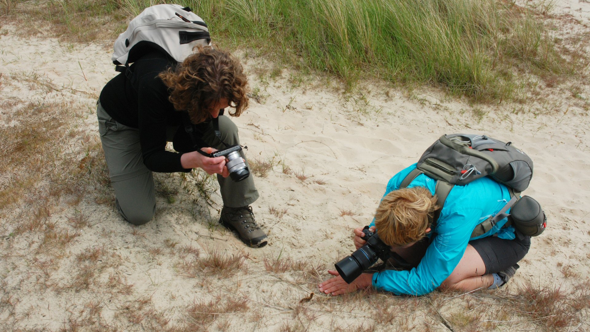 Unieke kiekjes
