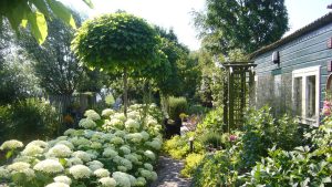 De tuin en kunst inspireren
