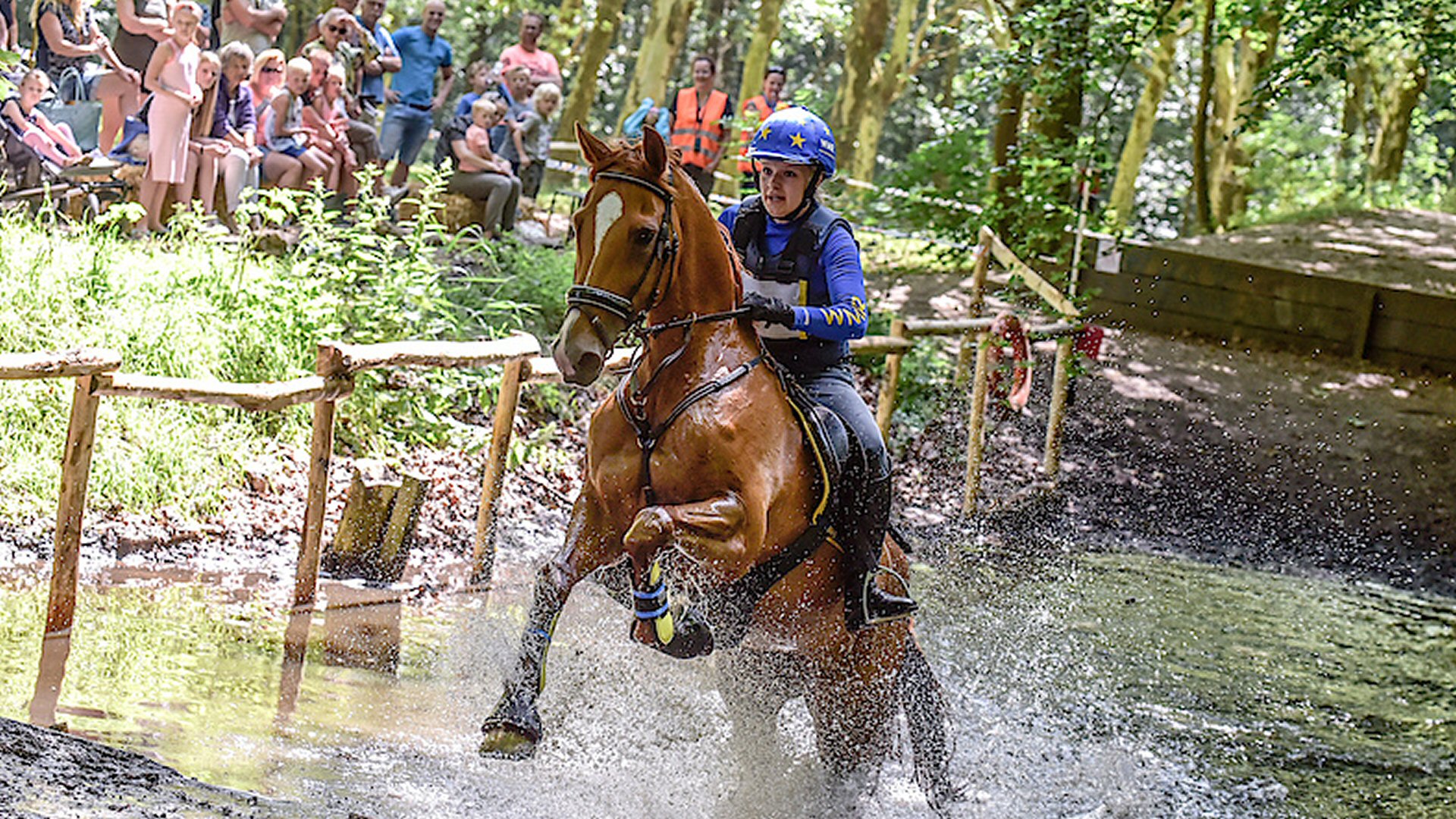 Een spectaculaire paardencross door het bos