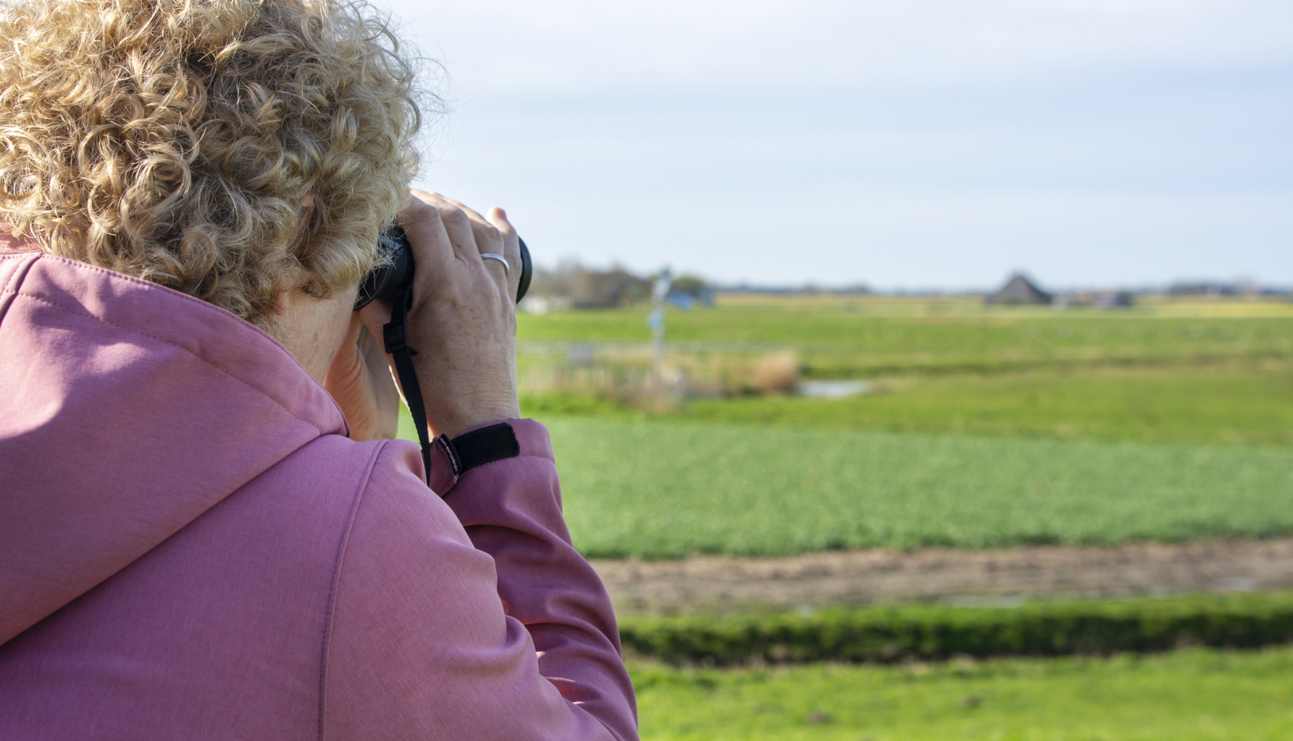 Welke vogel vliegt daar?