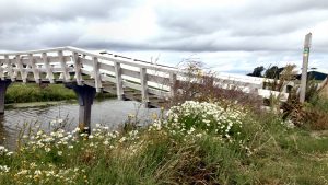 Wandelen door het boerenland