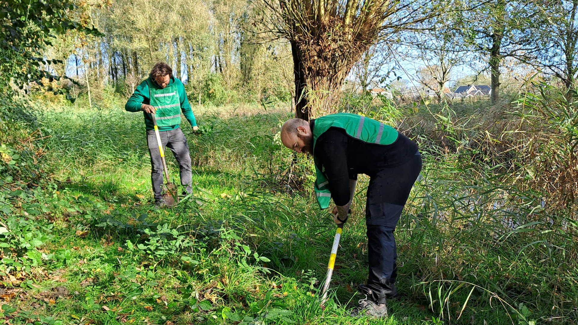MeerBomenNu gaat weer bomen uitdelen